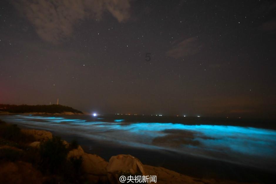 滚动的奶酪
